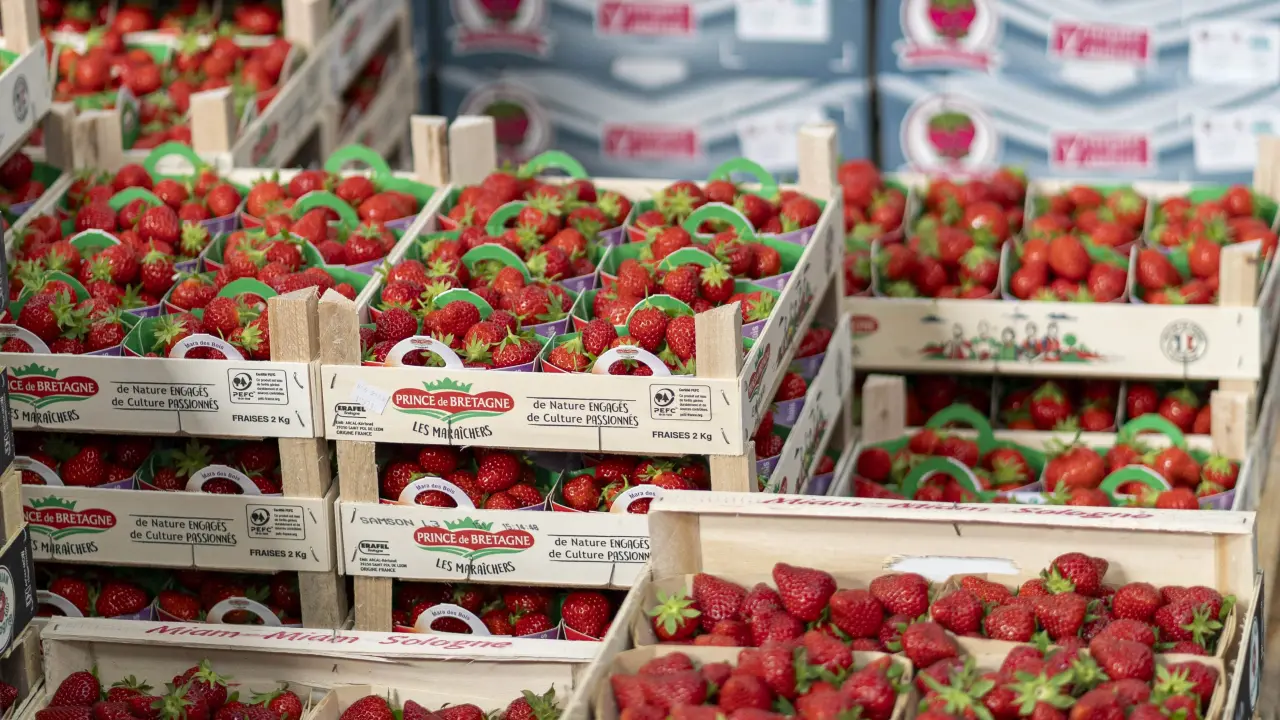 Produits les halles
