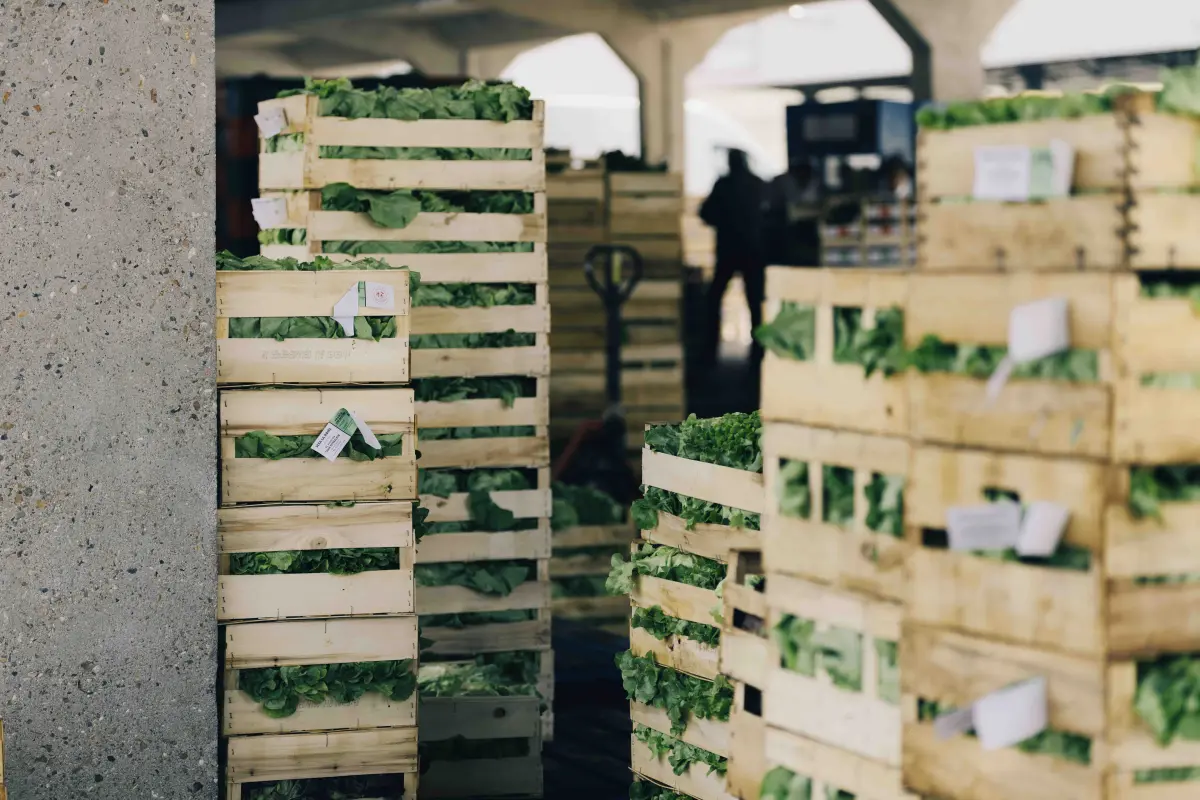 Carreau de vente pour producteurs locaux