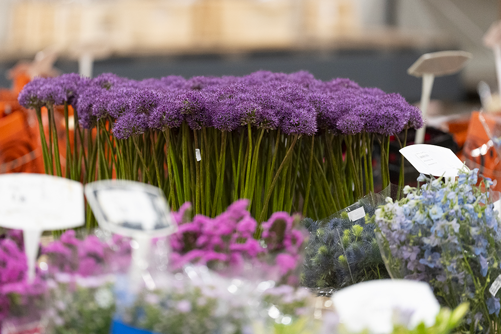 Fleurs et accessoires
