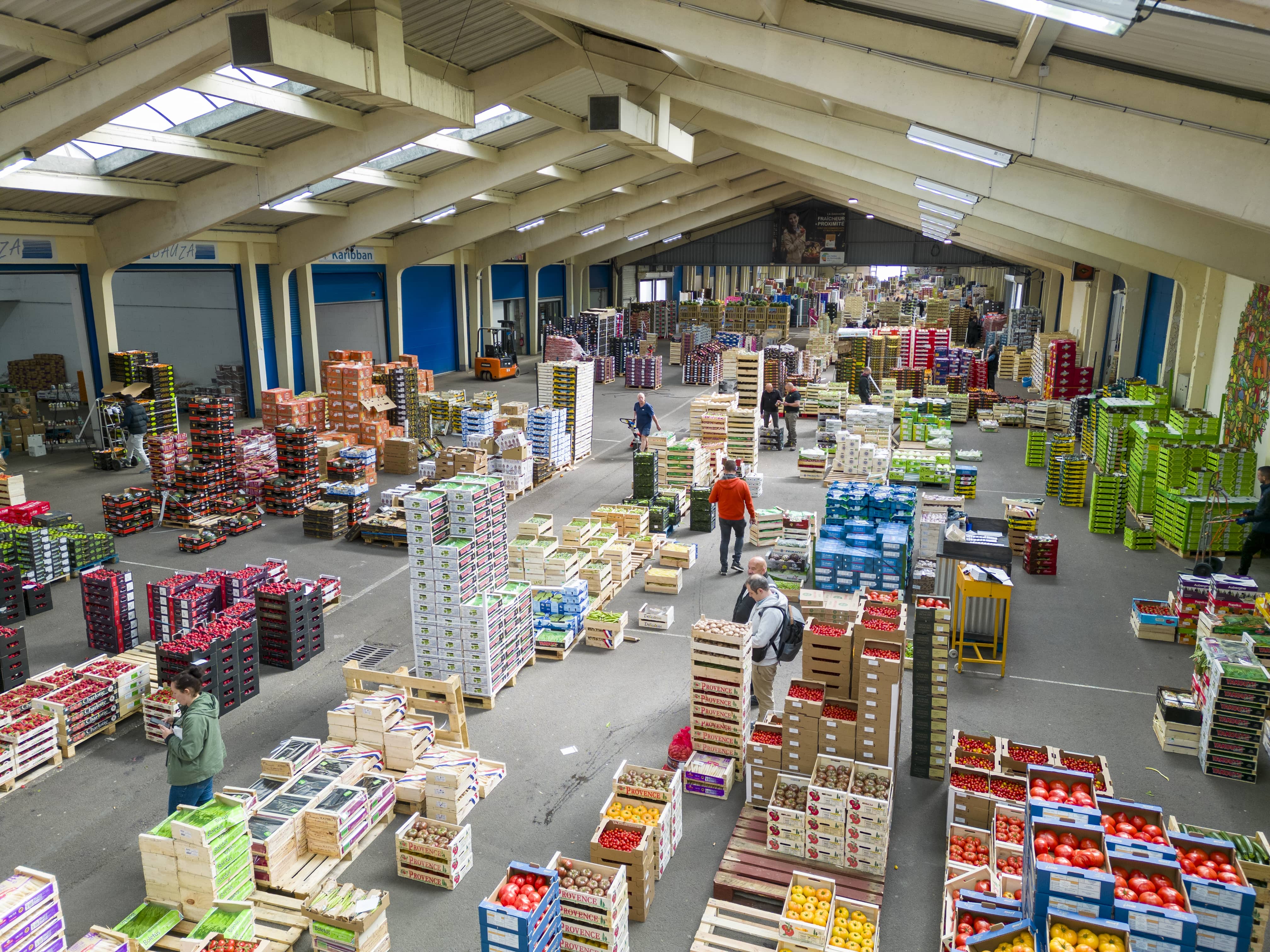 Espace Professionnel
