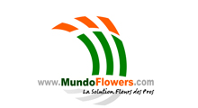 logo Mndo Flowers